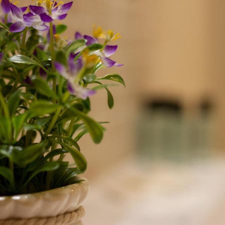 Suite Corallo - Smart Holiday Mantova Eksteriør bilde